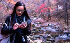 柚木提娜百度影音